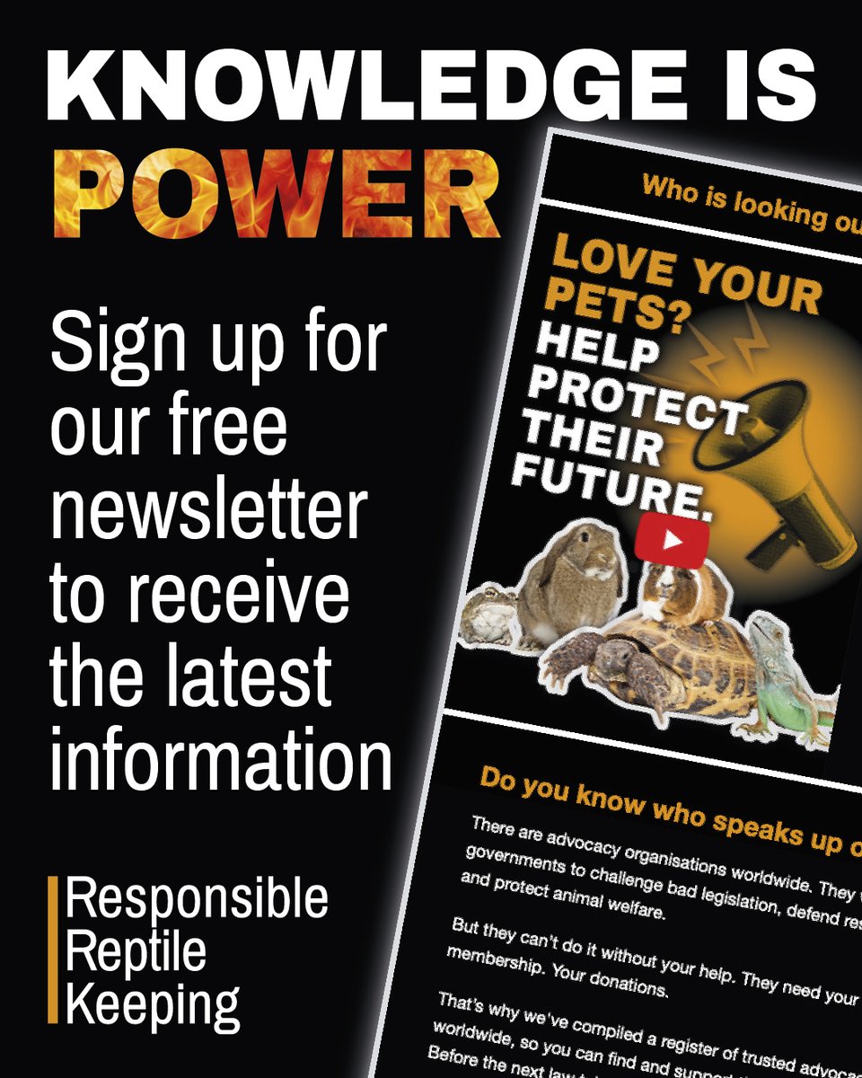 Knowledge is power!

Stay ahead of the curve with the RRK newsletter and be the first to receive the latest herp news and updates.

Sign up now. Because great reptile care starts with informed keepers like you: responsiblereptilekeeping.org
.
#TeamRRK