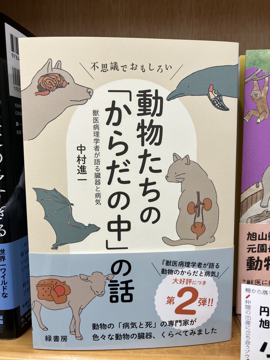 獣医教科書 バラ売り可 1冊 1000円 まとめ買いでお得 獣医教科書 バラ売り可 1冊 1000円 まとめ買いでお得 獣医教科書