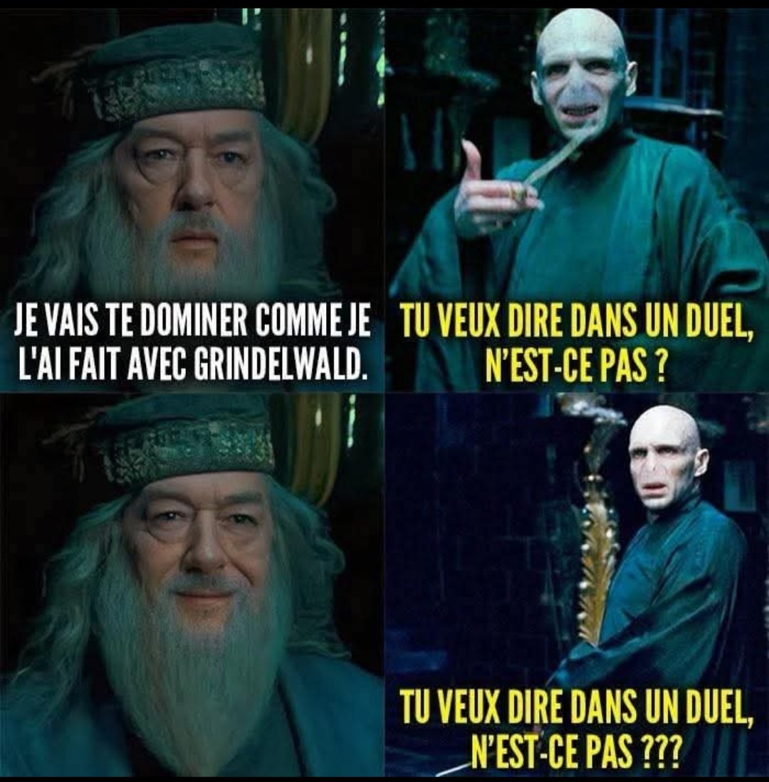 Dumbledore est un génie ... J'ai légèrement peur pour Voldemort  ! 
<a href="/Albus_leboss/">Albus-Dumbledore</a>