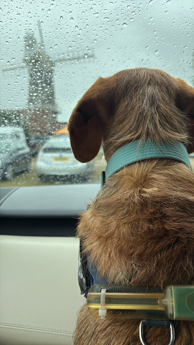 anicoll5's tweet photo. This weather is a bit sad #Bircham https://t.co/2n9SWSpbn7