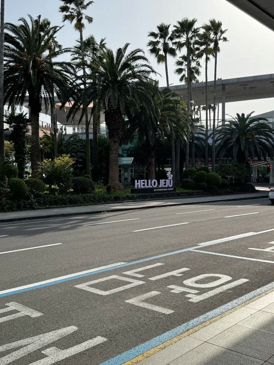 amorousvoid's tweet image. 제주도 오랜만