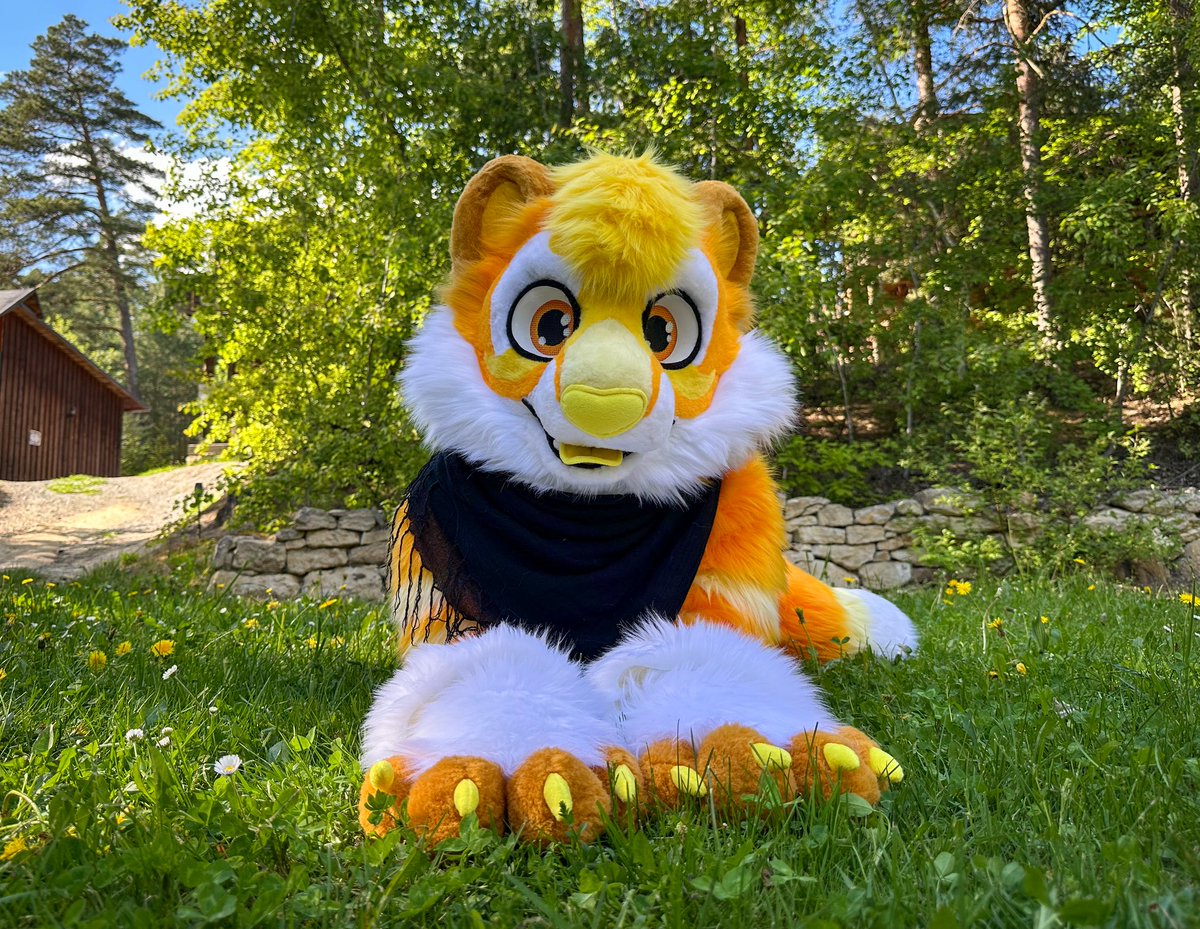 Happy #FursuitFriday 🐯🧡
📸 <a href="/NirdianLickyBoi/">Nirdian</a>