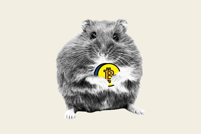 minminguinjjang's tweet photo. Remember Mr. Goxx—the hamster who traded crypto by running on a wheel and clicking levers? 🐹💹 

He outperformed Warren Buffett… then sadly passed away in 2021. RIP to the only true crypto guru we could trust. https://t.co/3vB7EZRX18