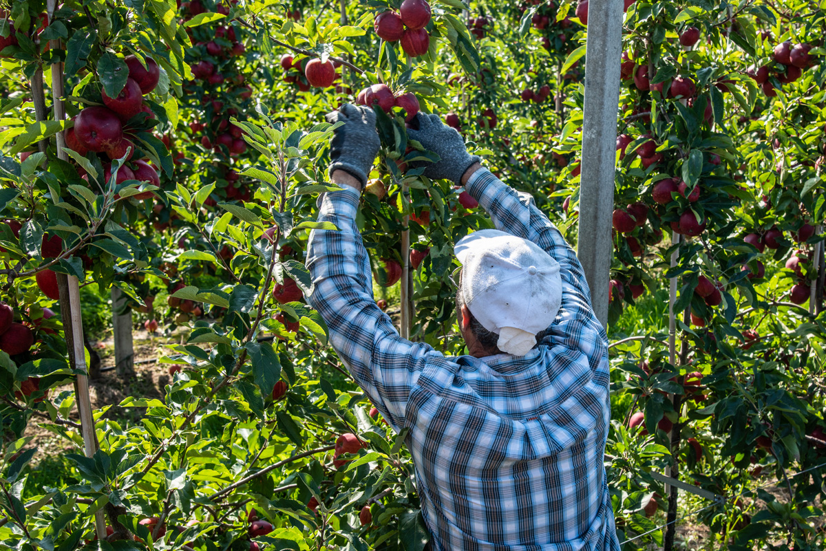 dreamcloud7's tweet image. Werkgevers opgelet! Vanaf 2026 kunt u steeds minder huisvestingskosten op het minimumloon inhouden. In 2030 mag dit mogelijk zelfs helemaal niet meer. Lees hier wat voor u betekent als u uw werknemers huisvesting aanbiedt. sowo.kr/DRdkQU82