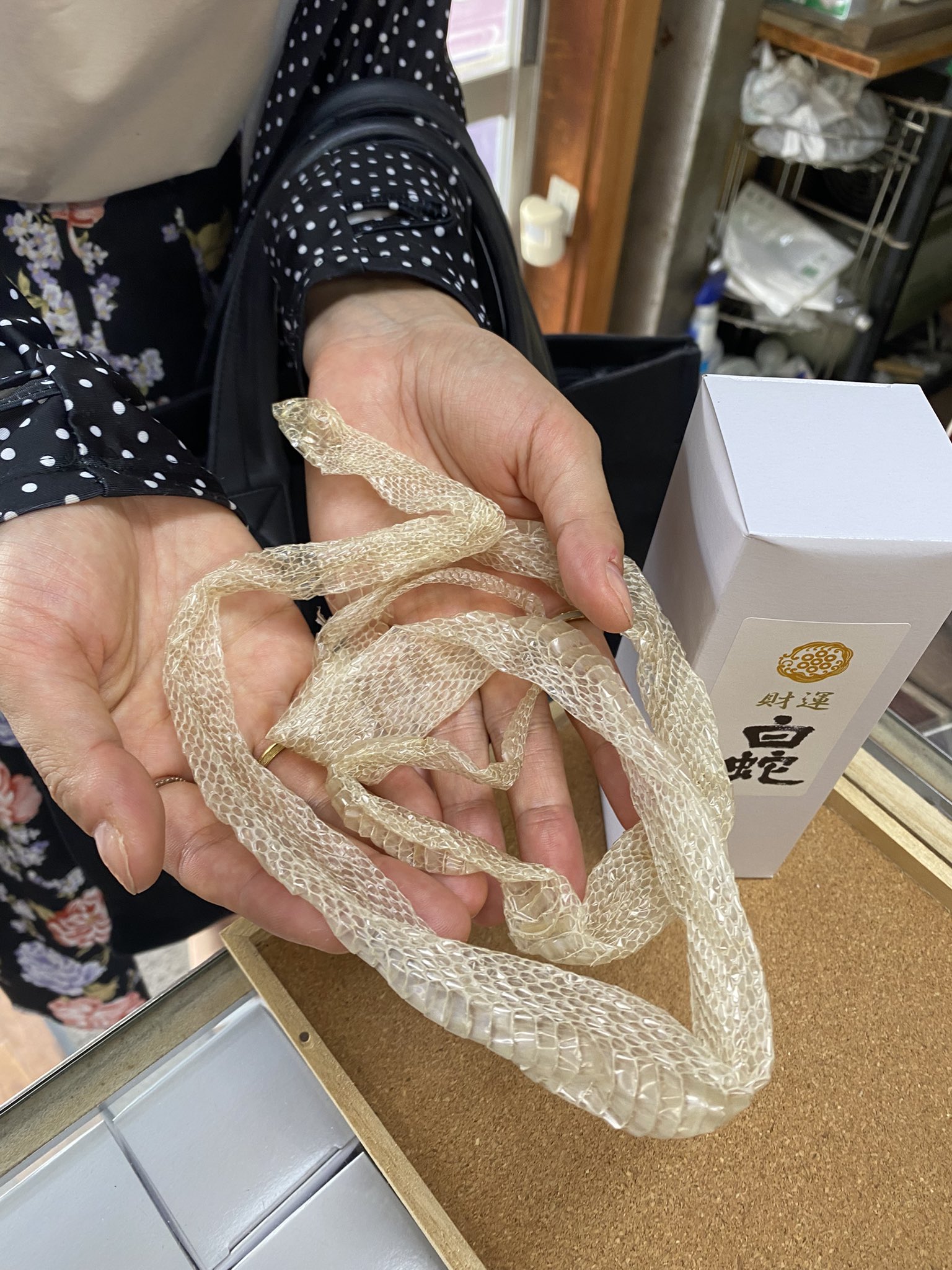 福がやって来る白い蛇　妊娠中٩(๑❛ᴗ❛๑)۶ 福がやって来る白い蛇 妊娠中٩(๑❛ᴗ❛๑)۶ - メルカリ