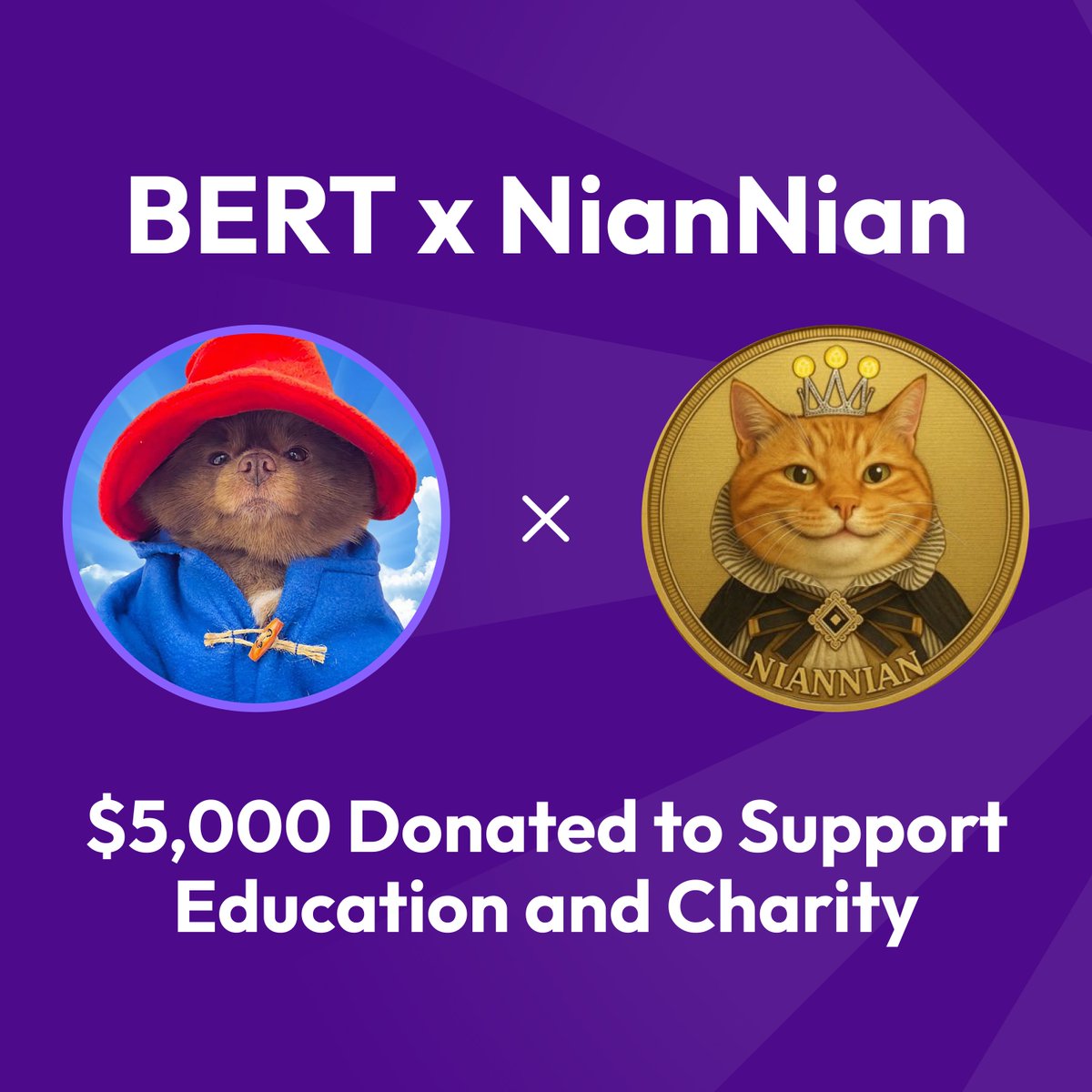 Bert 🧸 🐶 tweet media