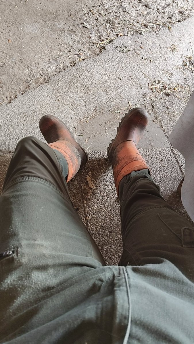 bauernbua02 (@bauernbua02) on Twitter photo 