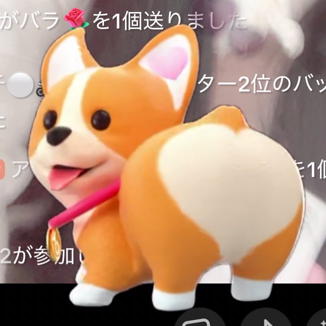 個人的、まったりです、、、、、、、、、来てコーギー