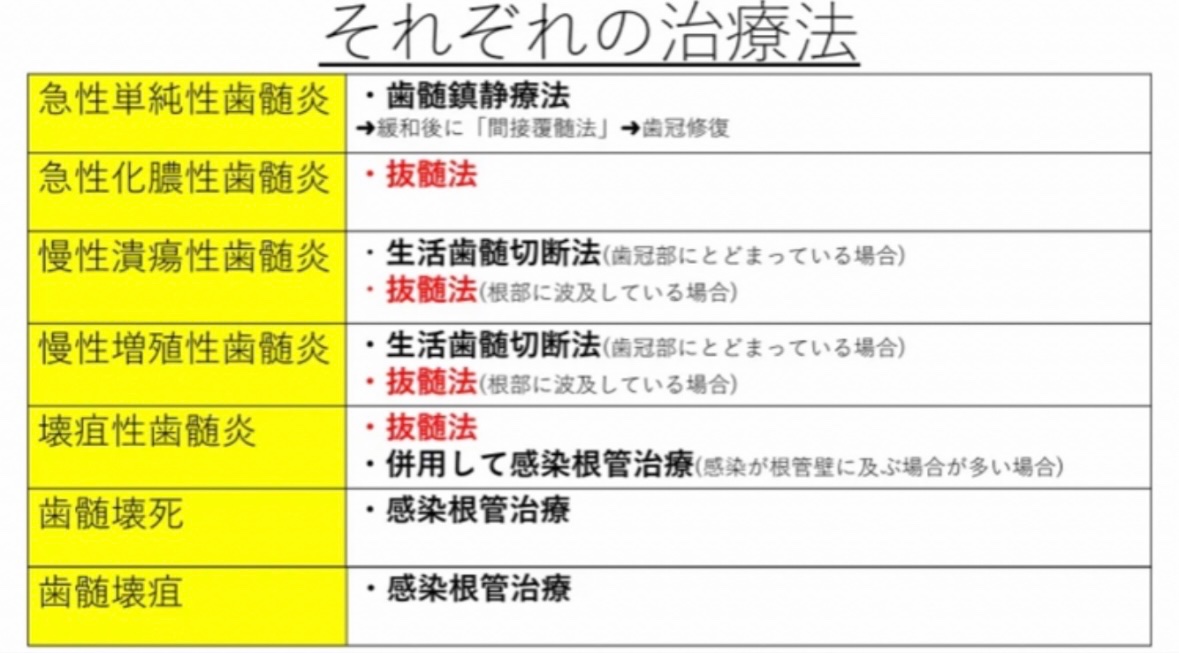 歯科医師国家試験対策教材　ロムニーハウス 歯科医師国家試験対策教材 ロムニーハウス 歯科医師国家試験対策