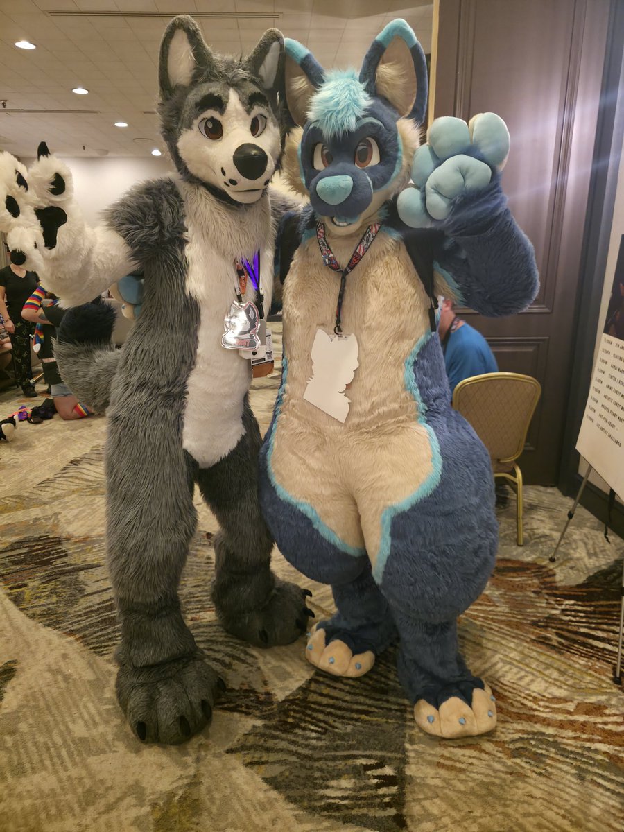 Fuze_Husky tweet media