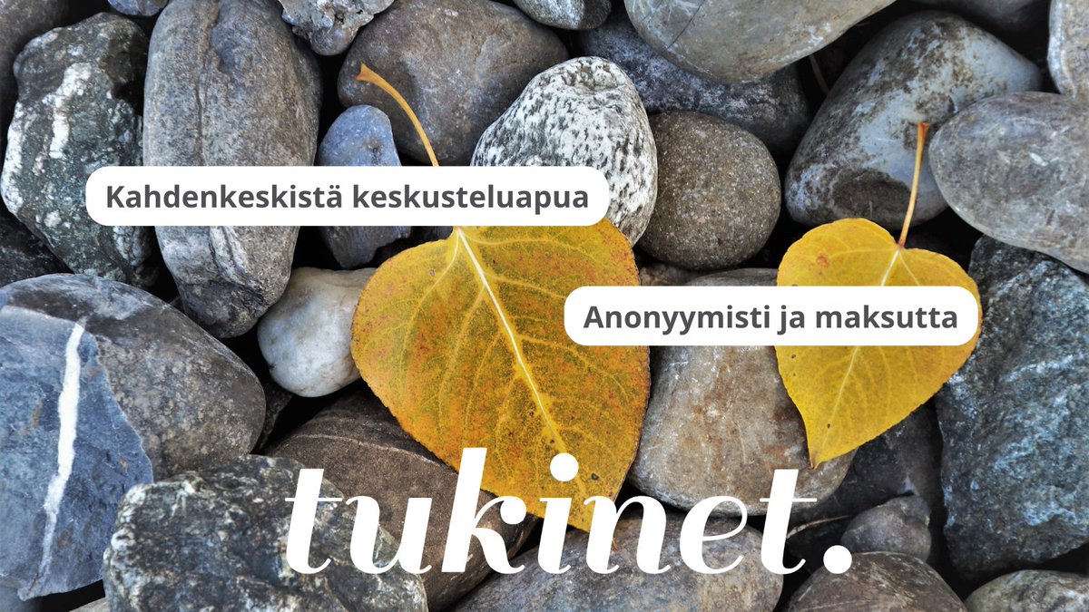 Tukinet Net tweet media