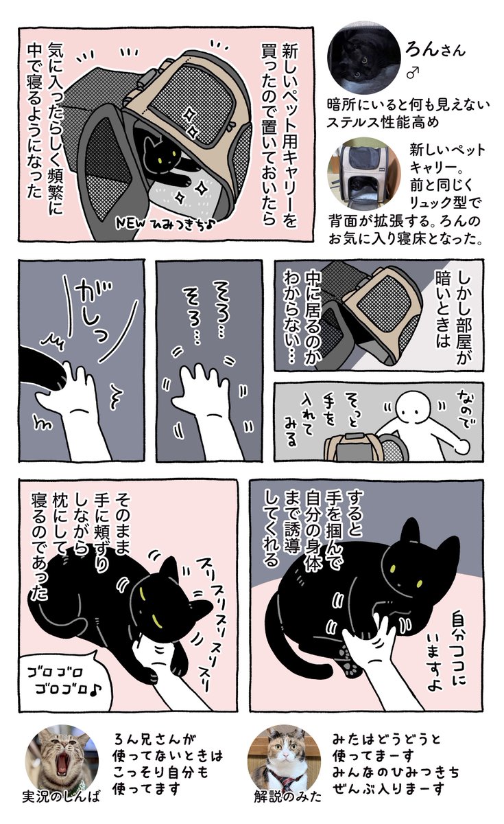 新しいペット用キャリーバッグを買ったらかなり気に入ってくれたらしく最近はこの中でばっかり寝ている　そんな感じの絵日記です