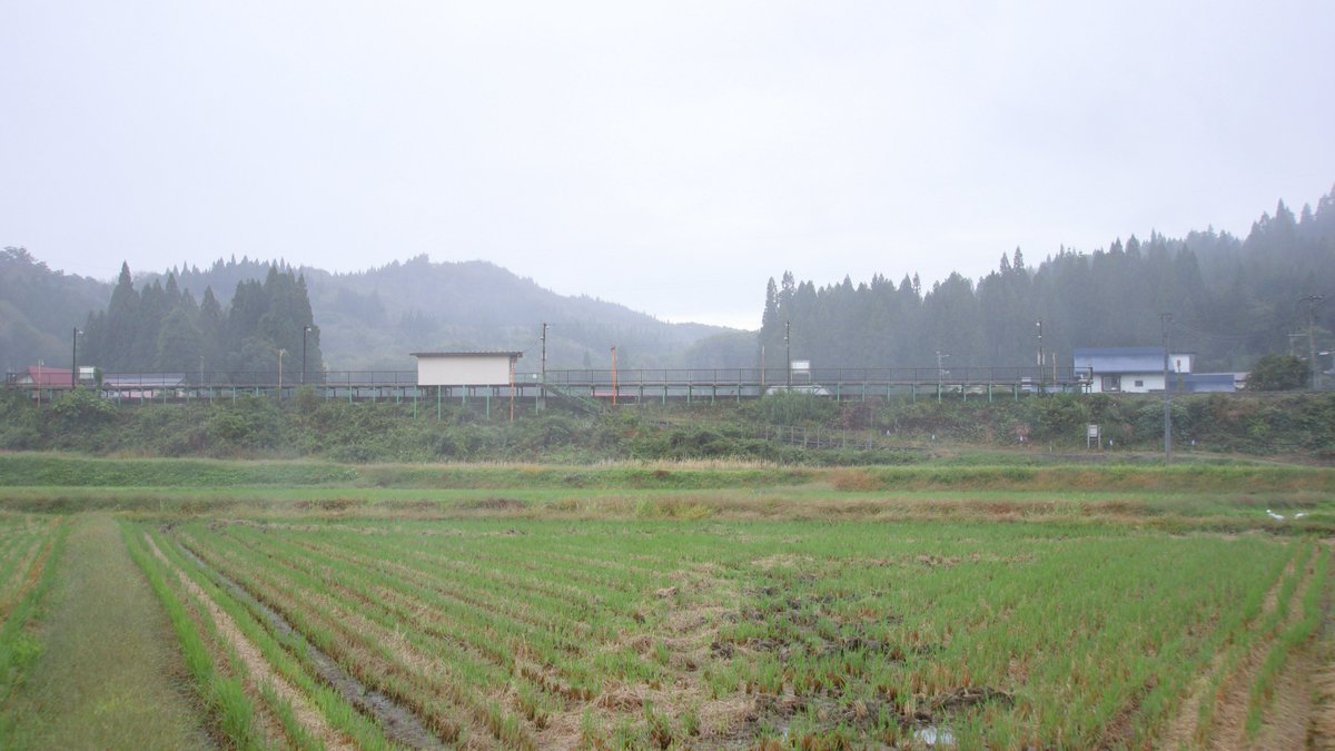 ride626_st's tweet image. 陸羽西線 羽前前波駅 • 高屋駅
東北本部管内において「全列車通過化」が意味するのは、過去事例からして「数年後に駅廃止」でしょう…。
今まで平津戸•浅岸•大志田•平石•矢美津•赤岩がその道筋を辿りました。(現在は大沢が休止中)
#陸羽西線 #羽前前波駅 #高屋駅