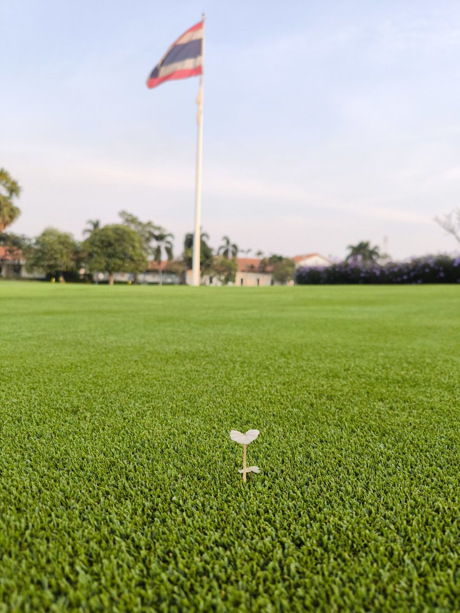 mateepto's tweet photo. #FriskyFairyRingFriday https://t.co/ieJJFy63qy