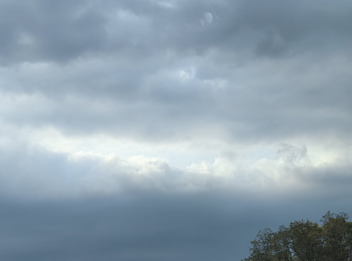 迎着阳光盛大逃亡