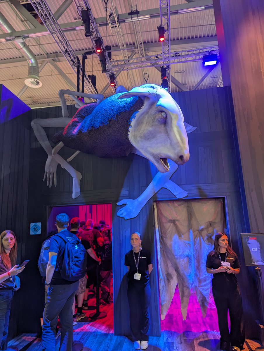 jazz harbord ✨ tweet media