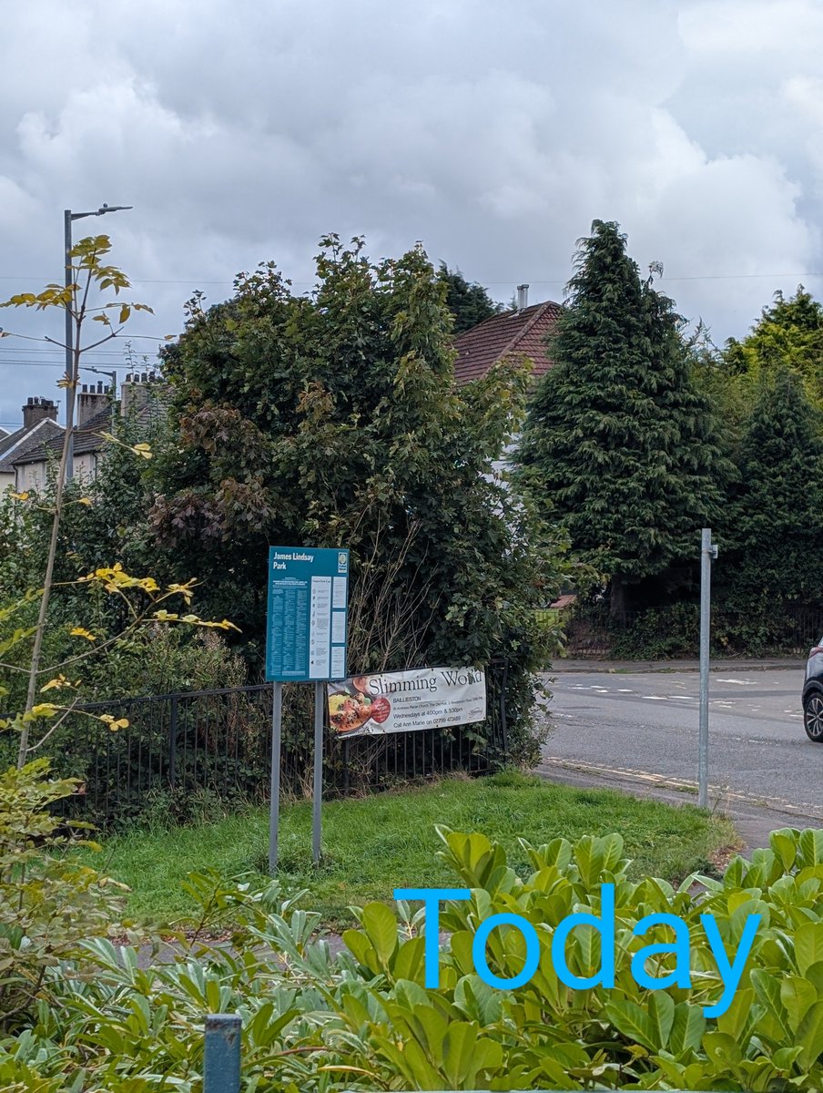 johnandrewdoug's tweet photo. @GlasgowCC. Could get the tree team to come and chop down the trees that have grown in this corner of James Lindsay Park, at the corner of Ravenswood Rd and Bredisholm Rd, please. It was always kept clear but has been left to overgrow, visibility driving left is almost zero. https://t.co/nYTlb50xKR