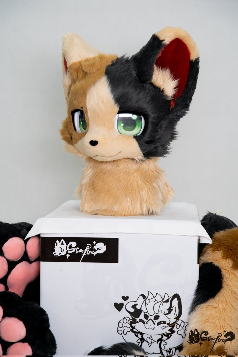 StarFire角色展示✦约莫

🐾SID.000012
🐾种族: 三花猫

--------------------
StarFire奇幻工坊

#furry #StarFire奇幻工坊 #fursuit