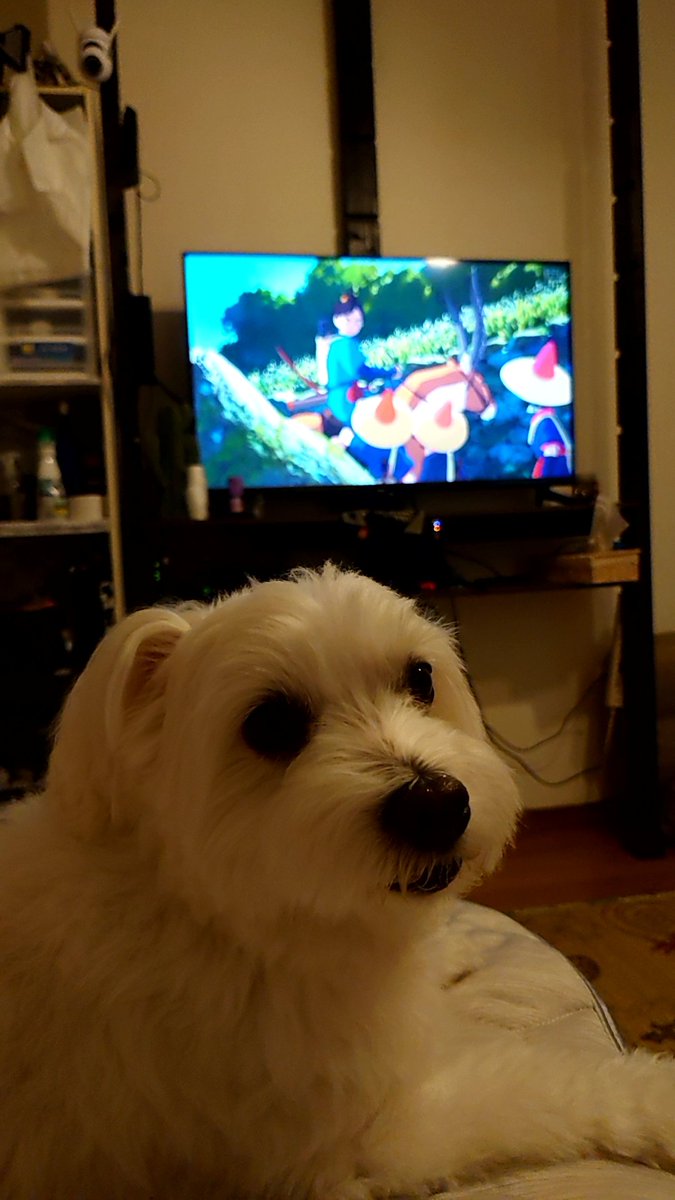 先に言っておこう！
「黙れ小僧！！」