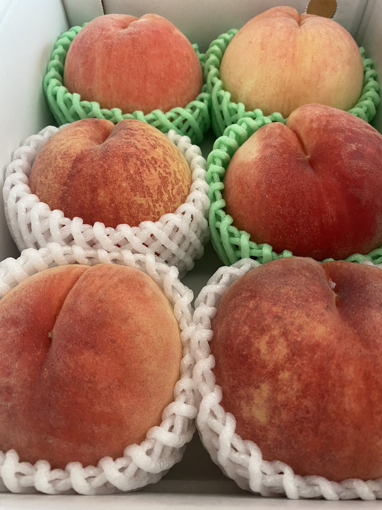 しいもも様 通販】とろける甘さの白桃から希少品種まで｜選び方ガイド｜食べ