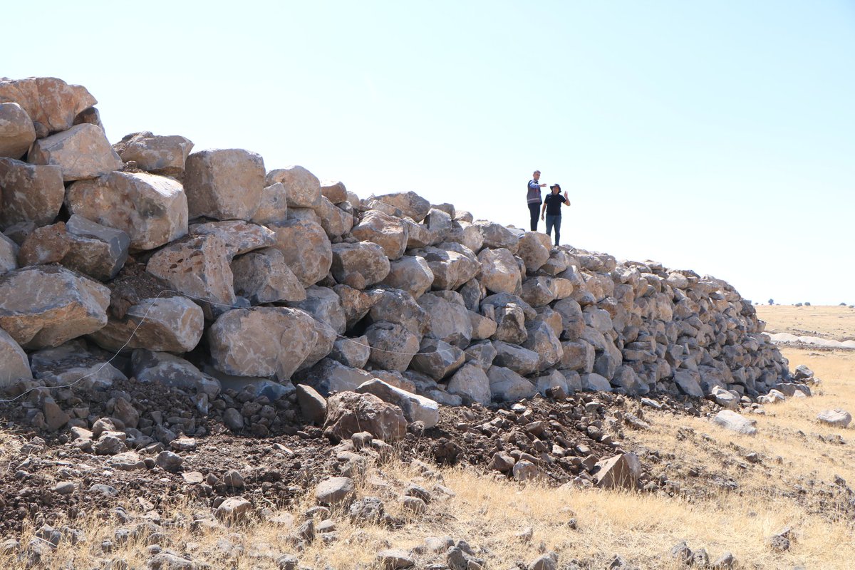 🌱 İl Koordinatörümüz Dr. Veysel UZUN, Zanaatkârlık ve Katma Değerli Ürünler tedbiri kapsamında Tohum Tarım’ı ziyaret ederek çalışmaları yerinde inceledi.

🌾 Bölge tarımına katkı sunacak bu girişim, üretimde kalite ve verimliliği artırmayı hedefliyor. ✨

#Elazığ <a href="/vetveyseluzun/">Veysel UZUN</a>