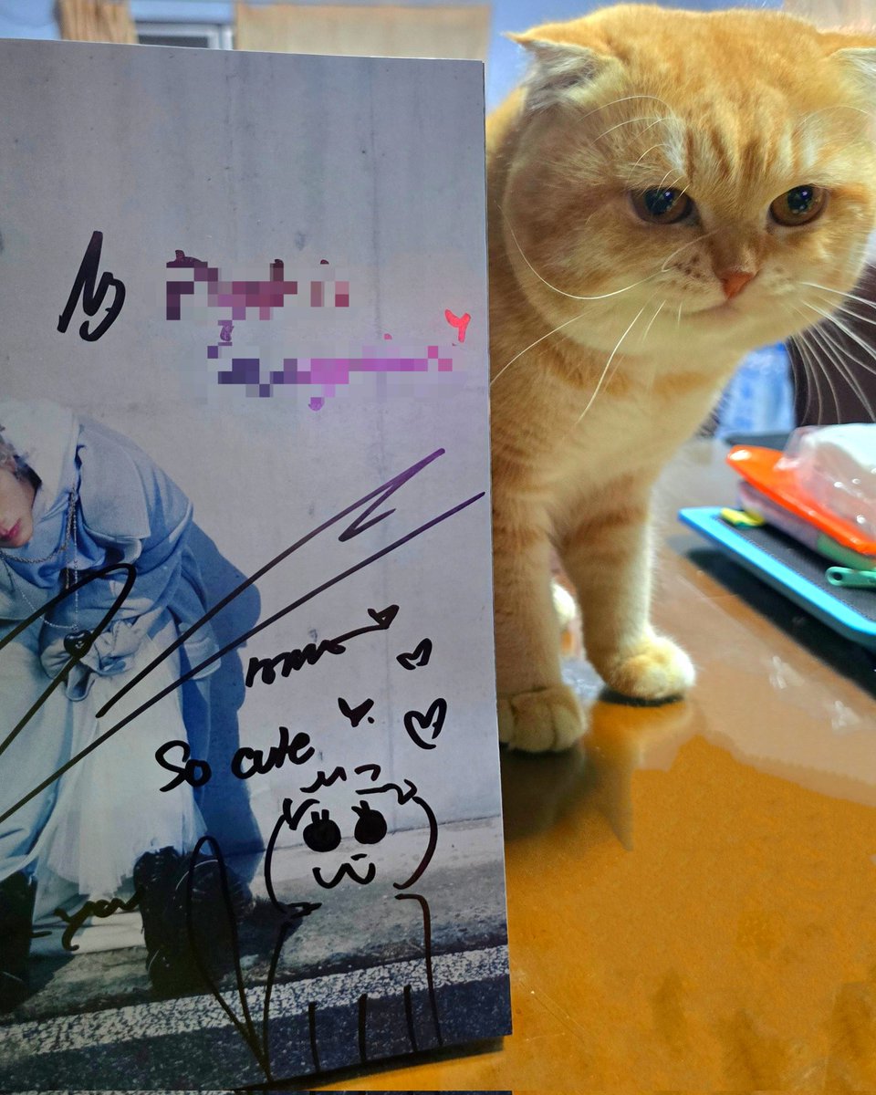 Prof.โบ้ล์ 🕯𝚂𝙾𝟷𝟶³ tweet media