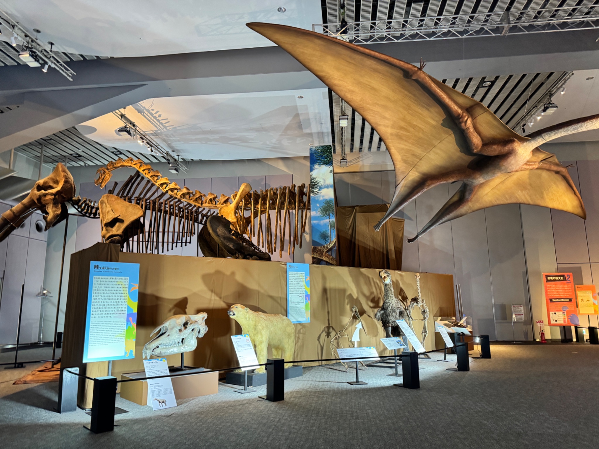 ♡巨大恐竜展familiarコラボ♡ ファミリアの恐竜コラボバックが可愛い！巨大恐竜展