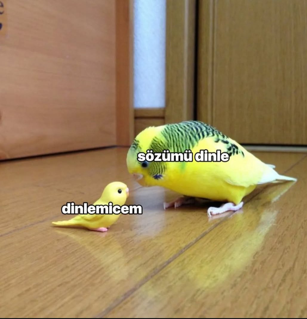 Voice News (@voicexnews) on Twitter photo 