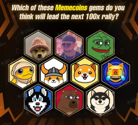 SAFIA CRYPTO tweet media