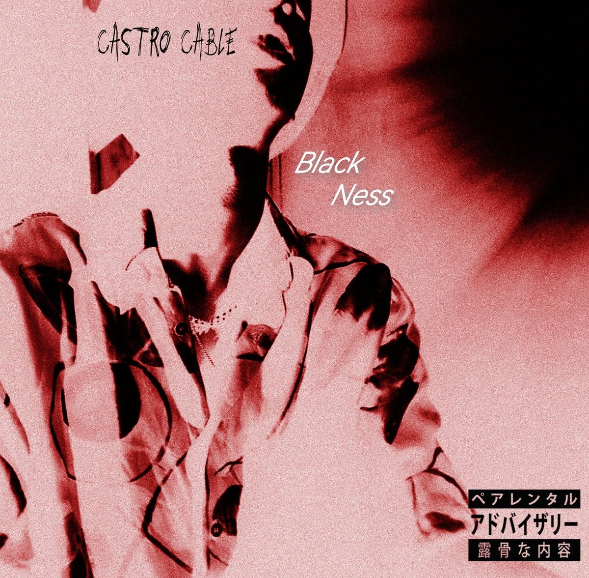 "A Long awaited overdue"

Performed by :
Hloniphani Castro Cable 

Produced by:
S'phesihle Manyathi 

Mixed&amp;Mastered by:
Mfundo Tsukudu 

Artwork by: 
Cebo Drty-Dnko 

Link:
Listen to Blackness (Prod. Code) by Castro_Cable on #SoundCloud
soundcloud.com/castro_cable/b…