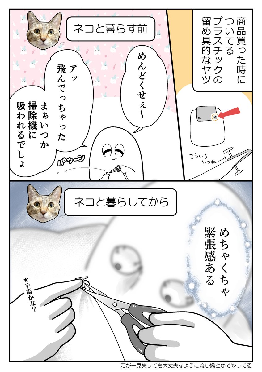 も～ (@mori2ta) / Posts / X