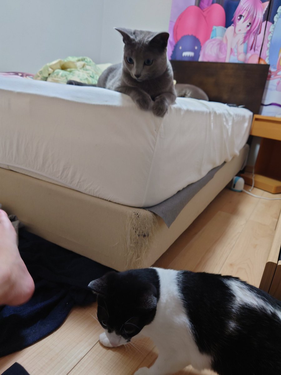 今日も一日お疲れ姉妹
