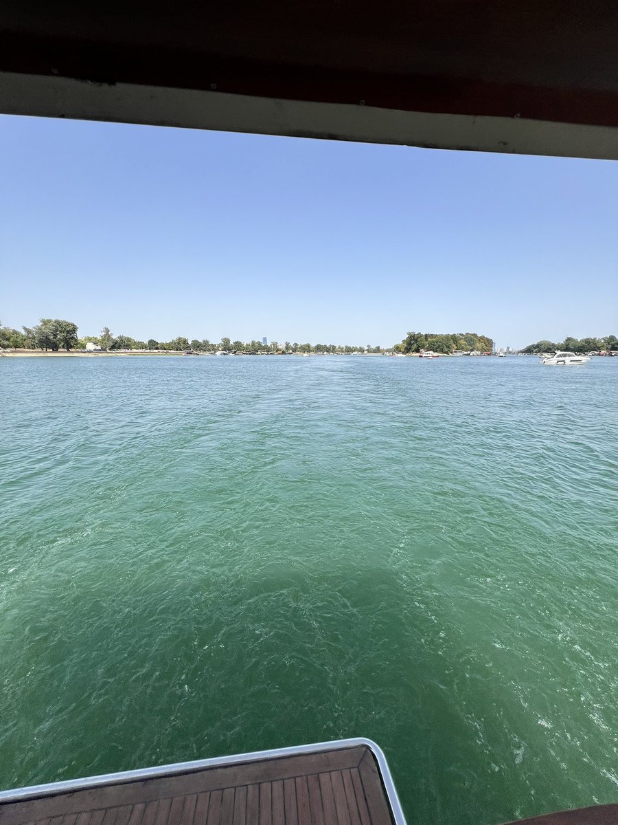 Vitality Queasy tweet media