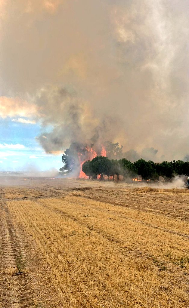Meteoavila2's tweet photo. 🔥 Declarado incendio forestal en Fontiveros (#Ávila). #IFFontiveros.

📢 Medios actuando en la zona. Foto de la zona a las 14:20h. https://t.co/YHcfj4ZTeZ
