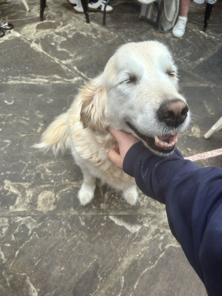 Mr T does Primary History 🏳️‍🌈 tweet media