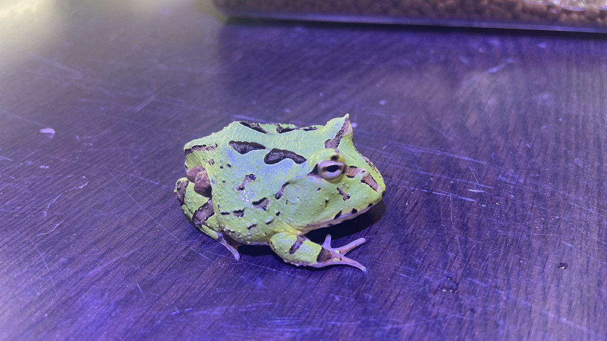 8月30/31日
申し訳ございませんが
仕入れの為、お休みさせて頂きます