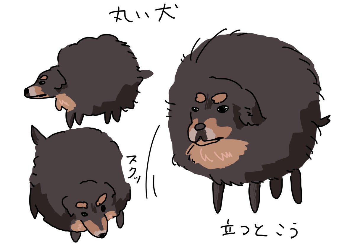 俺は空気抵抗ゼロ犬より一頭身犬派。