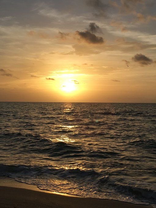 Don’t wait for the perfect moment; take this moment and make perfect.