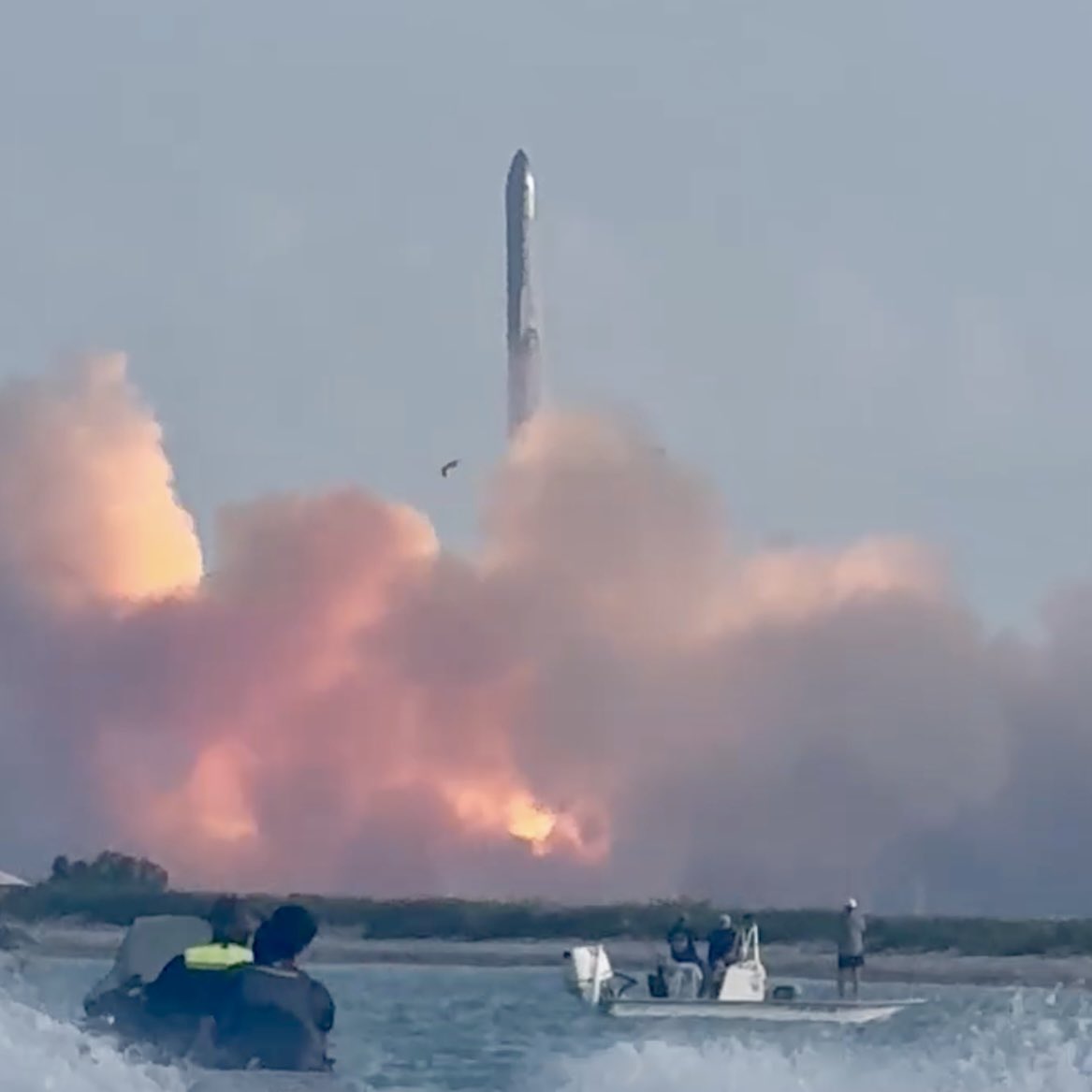 Jennifer Larson tweet media