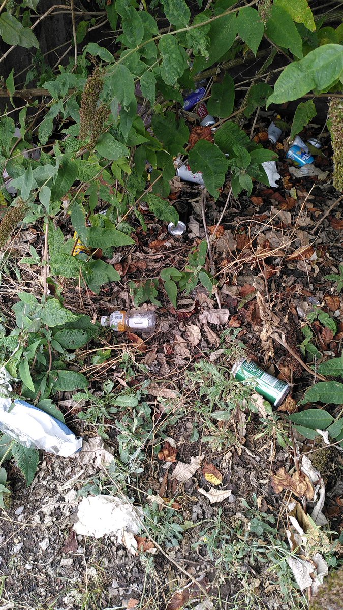 Keep Riverside Tidy tweet media