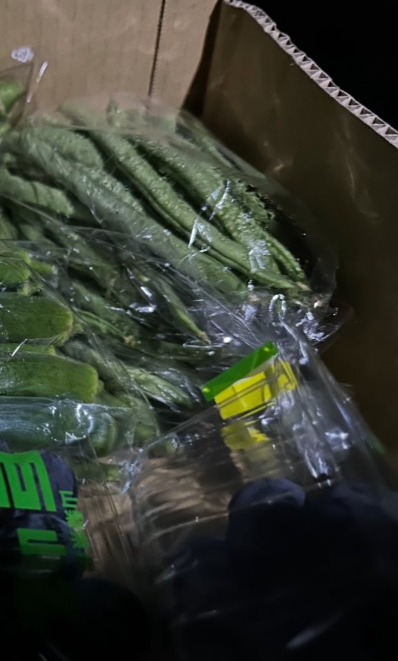 DJANDO6's tweet image. 次の日は　#bugginout でレコードをゲット
また、DARTHREIDER  “乱世の眼帯“の曲の一曲はここで買ったレコードがネタだと伝えたところ、DARTHREIDER の初期からのファンだとの事🔥
そして無農薬の野菜が色々なところで売っていて、畑で野菜の収穫までさせてもらった。
🙏