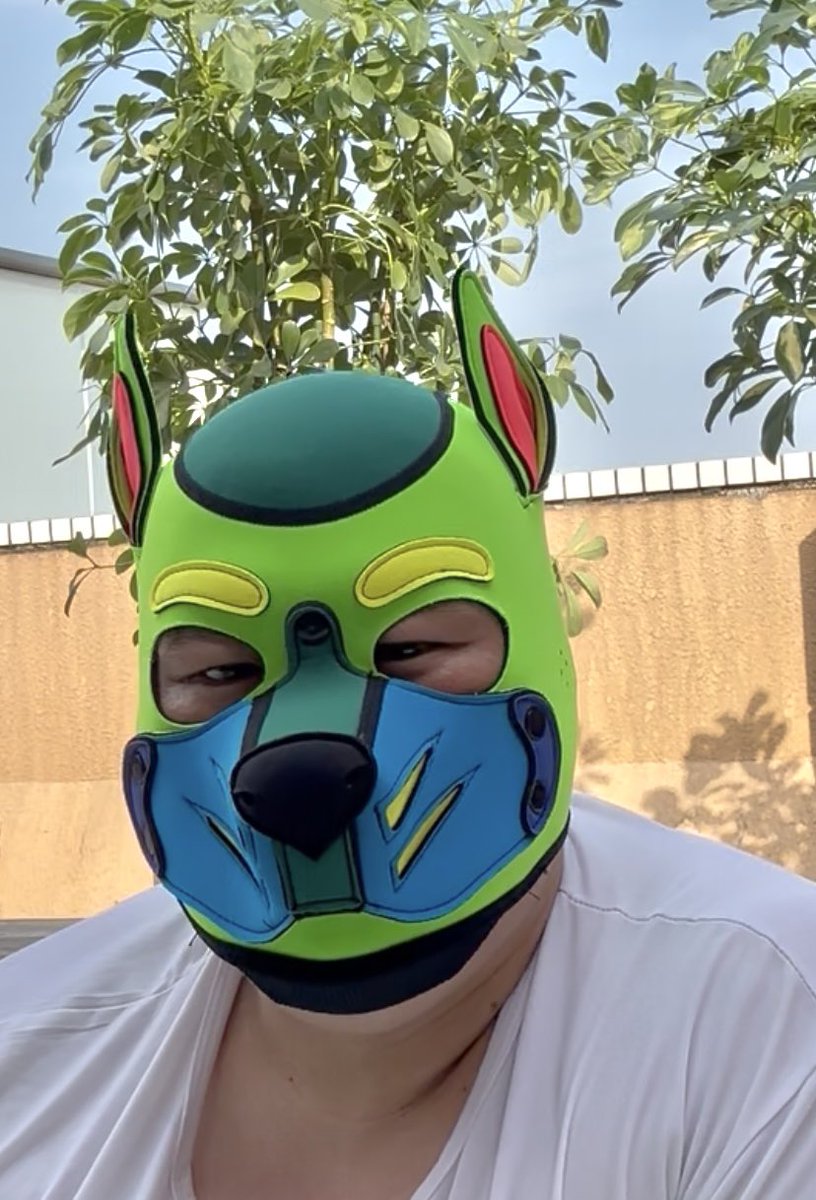 #顔だけで何リポスト来るか
 流行り？に乗って