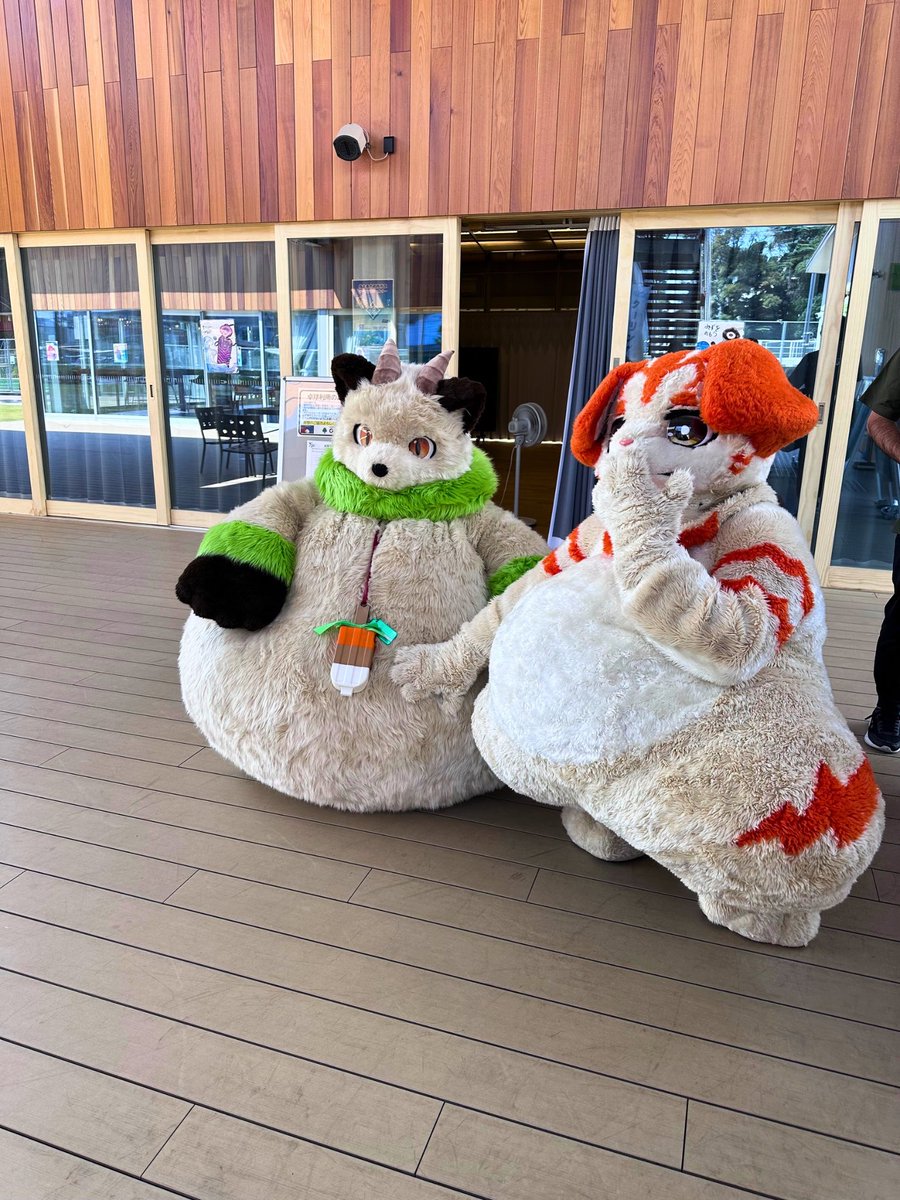 むふふ〜🐾️ソイドラくんは、もちもちお腹なのにゃ〜🐾️✨️
#FursuitFriday #生春陽巻 #ソイドラくん