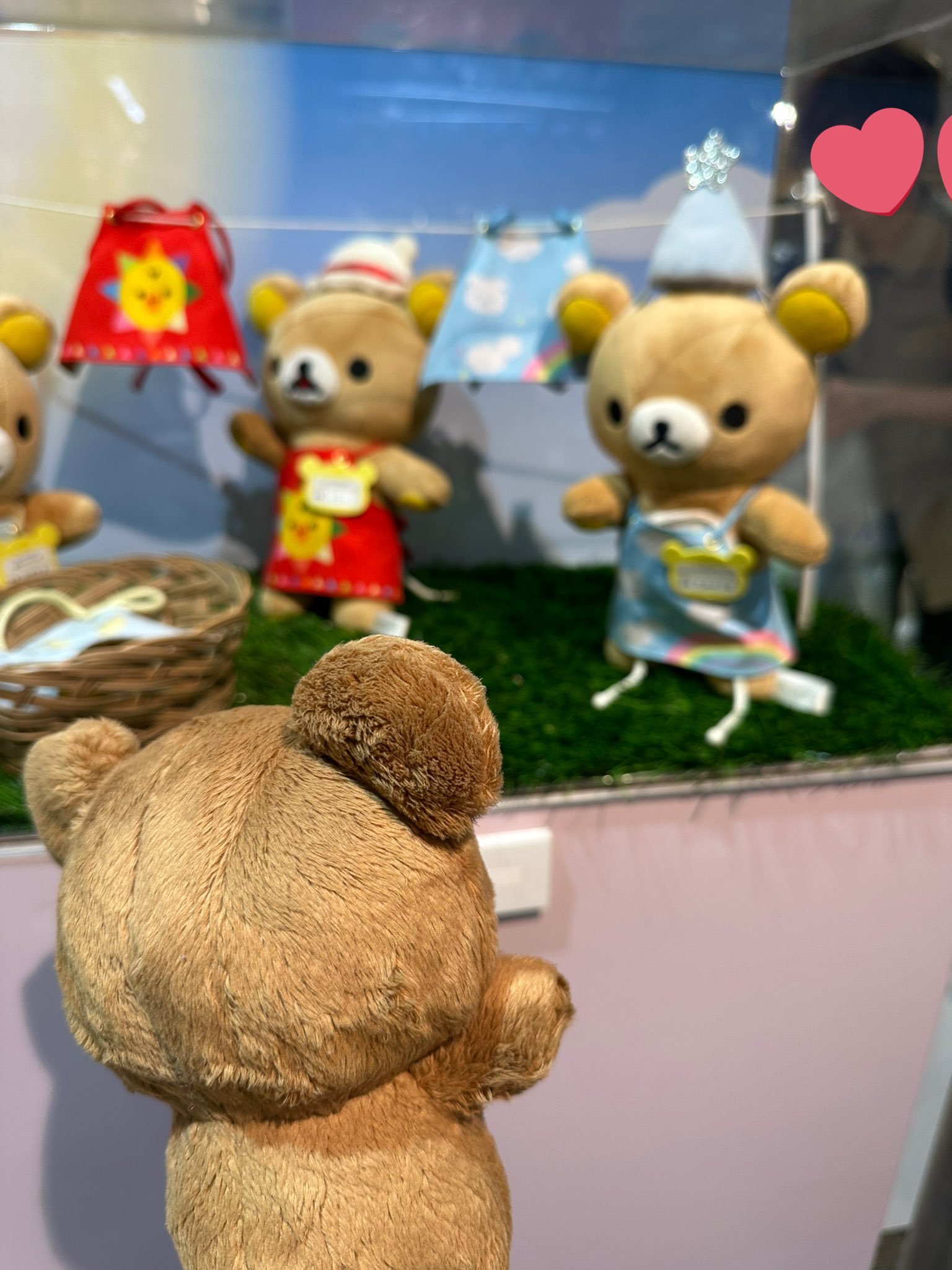くまきち様♡ありがとうございます♡ くまきち(はーこ) on X: 