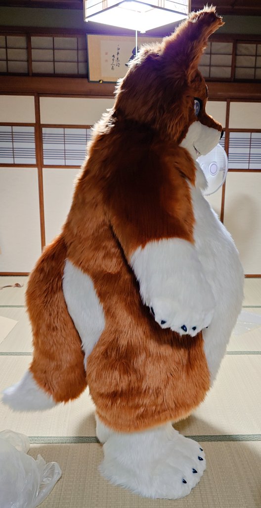 この度、カブ工房様（<a href="/kabukoubou/">メイド・イン・カブ</a>）に素敵なディンゴの着ぐるみを製作して頂きました！名前の方はまだ決まってないのでゆっくり考えようと思います。