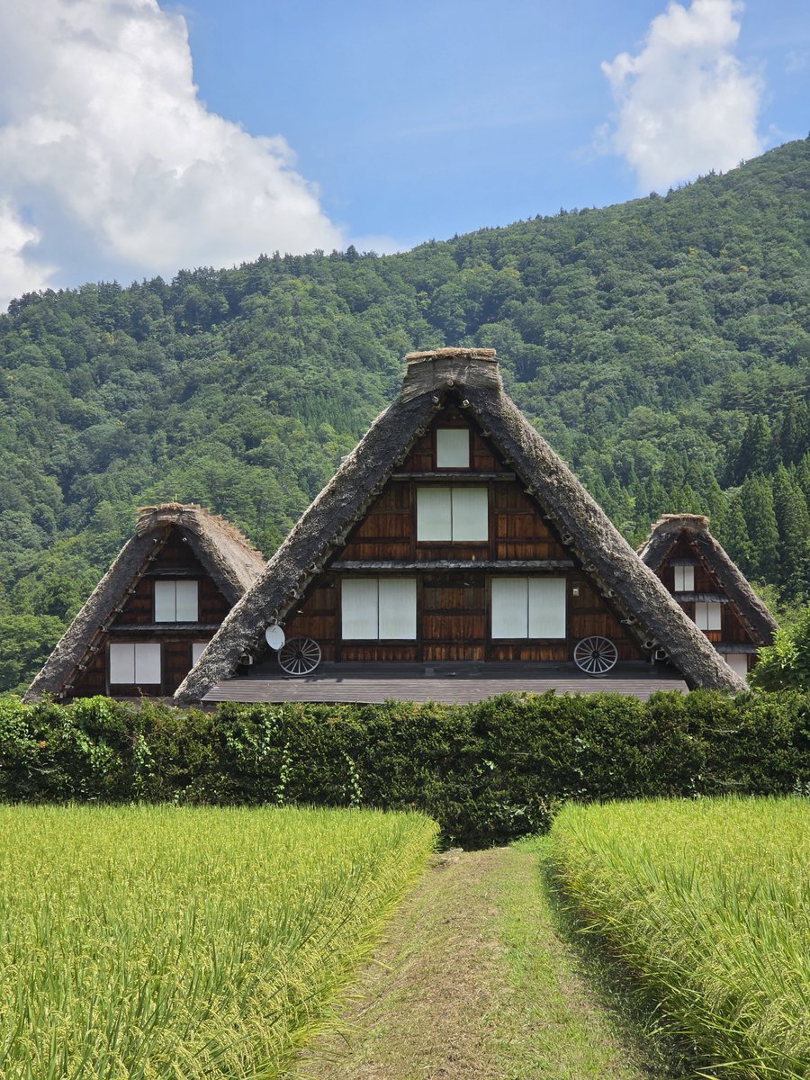 Pablo | パブロ. ⛩️ tweet media