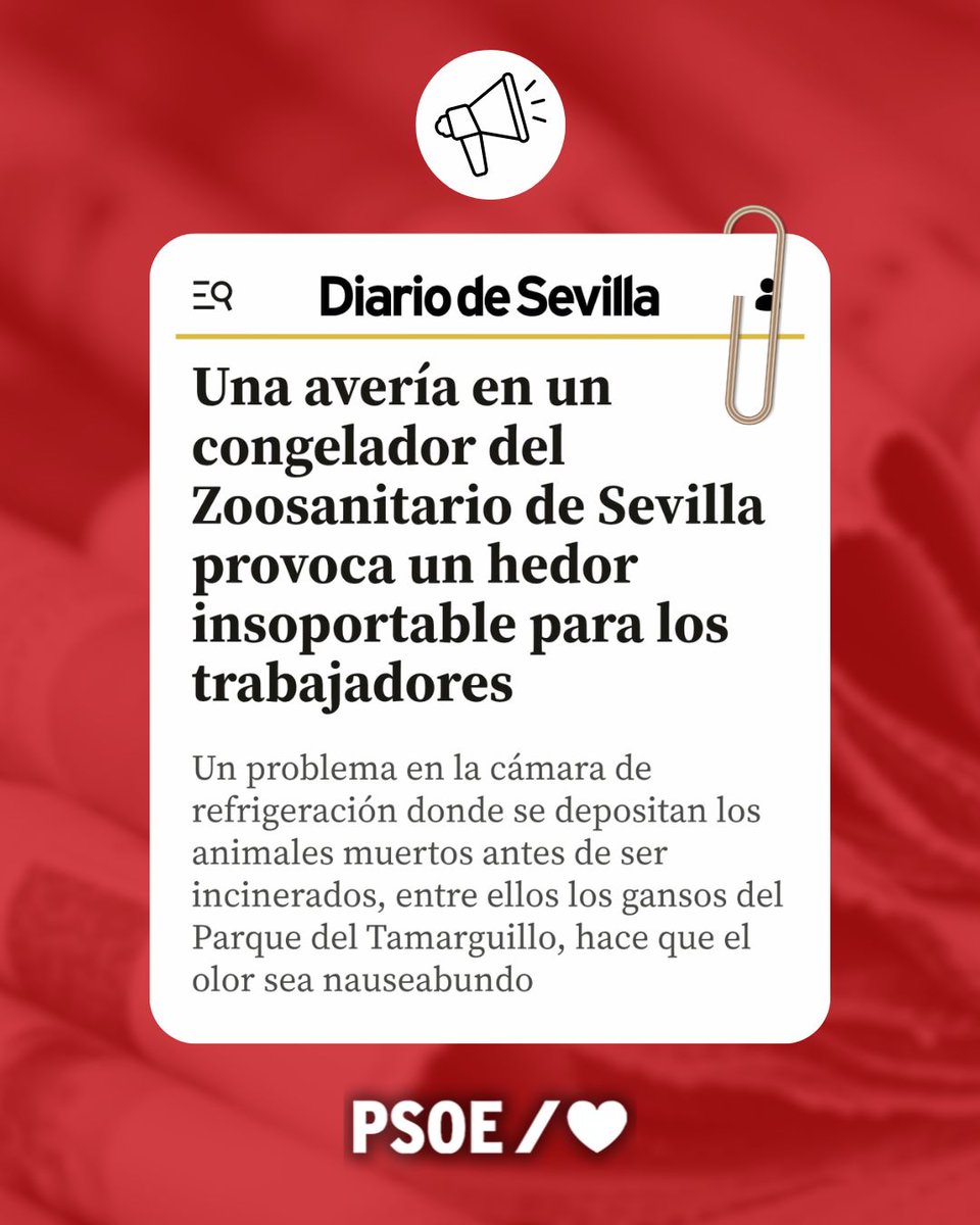 PSOEAytoSevilla tweet media
