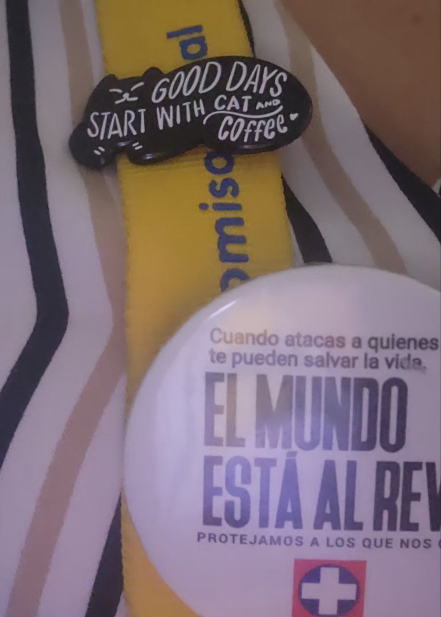 Good days start with cats and coffee. Así es!!