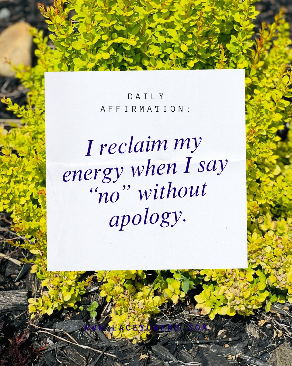 Lacey Owens tweet media