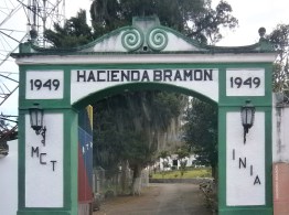 Bramon es conocido por sus cafetales, por su exquisito y fuerte aroma al colar uno de los más excelsos y puros cafés de Venezuela y el Mundo.

Estudiosos del mundo lo certifican.

Más allá del buen café están también las manos de quienes lo trabaja y muchos años de experiencia.